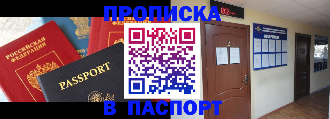 купить прописку в Щёлково